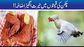 Chicken Price Increase