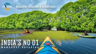 KAYAKING THROUGH INDIA'S MOST BEAUTIFUL MANGROVE FOREST🌿🌱 | Paravur Backwaters Kayaking🚣🛶 #travloon