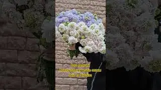 🌿0932872828 Київ Святошино