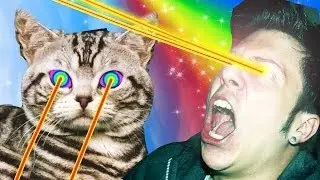 GATITOS TECHNO AWESOME CON EPILEPSIA