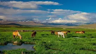 The Beautiful Gilgit Baltitstan | Ms World