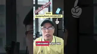 Global Wallet ideal para guardar las ganancias de tus negocios
