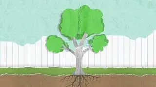 Brain Break - The Tree breathing exercise