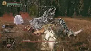 ELDEN RING Commander Gaius Cheese Lvl 24 Scadutree 2