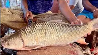 🔥 Giant Mrigel Fish Cutting Hacks | BD Fish Market Expert Techniques Revealed!