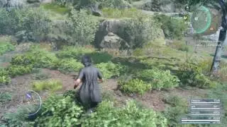Final Fantasy 15 Get a Sapphire Stone Reliable Royalty Quest