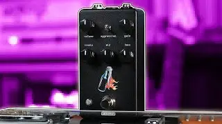 D-Sound Revolution High Gain Distortion Demo & Review | Stompbox Saturday