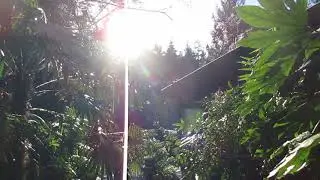 Witnessing a Rapid Snow Melt in a Exotic Garden / Canada