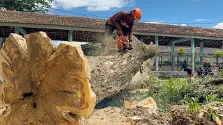 Extreme Heights! Felling a Giant Tree High Above the Building Roof!