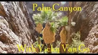 Palm Canyon with Vicky Van Go and Texas Peeps