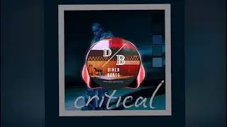 critical || Lonely Sexy Drill || Don Toliver x Organ