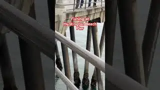 Fishing at Huntington Beach Pier