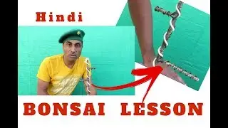 Bonsai Lesson(Hindi)/Shaping By Wiring #1/Bonsai Hunter
