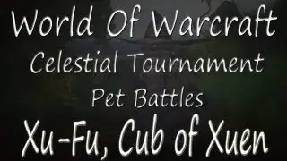 Xu-Fu, Cub of Xuen - Celestial Tournament - WoW