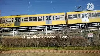 伊豆箱根鉄道駿豆線　101列車🚃