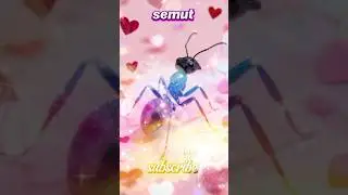 black ants eating on the floor #viral #video #shorts 34875