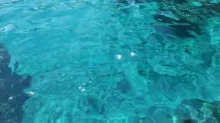 BEAUTIFUL SHINY WATER BACKGROUND VIDEO.