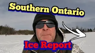 ICE REPORT -Southern Ontario! (Bluegill fishing)  #icereport
