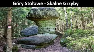 Skalne Grzyby - Góry Stołowe