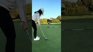 Putting time #golf #golfswing #golfing #golfshorts #golflife #golfcourse #shorts #golflifestyle