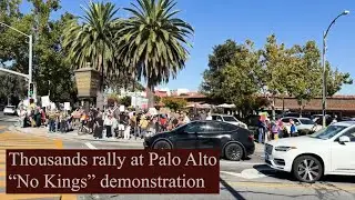Thousands rally at Palo Alto 