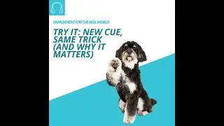 #136 - Try It: New Cue, Same Trick (and Why It Matters)