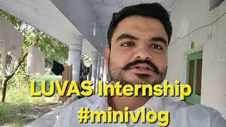 Veterinary Internship #minivlog 13