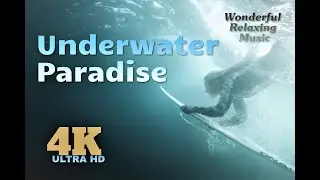 Underwater Paradise🐟....Wonderful Relaxing music🎬🎵💤💤💤(4K ultra HD)