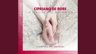 Vergine santa (Live)