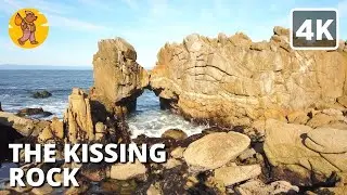 The Kissing Rock Walking Tour | Pacific Grove CA | Monterey Bay [4k] 🔊 Binaural Sound