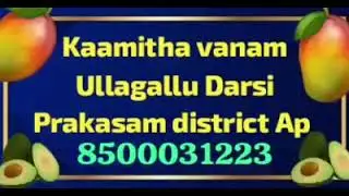Kaamitha vanam Farm land plots project Ullagallu Darsi Prakasam district Ap 
