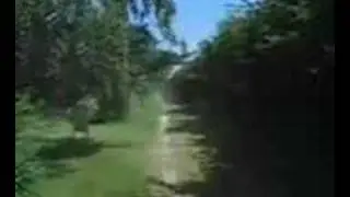 Tractor V12