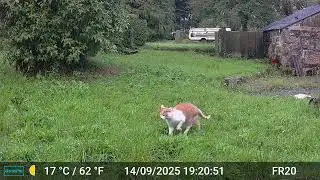 Pictures & Videos GardePro A3 Trail Camera 7 of 12 FR20 Part 4 C&ocirc;tes d'Armor, Brittany, France