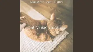 Magical Cats