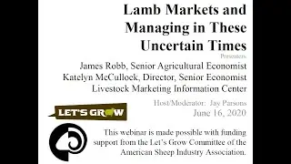 Lamb Markets (33)