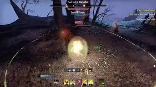 Elder Scrolls Online Coldharbour Public Dungeon Solo Templar 40+