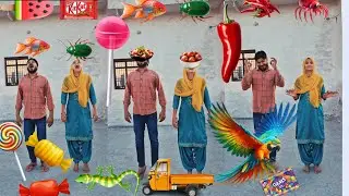 Eating - Pomegranate,ant,burger,poti,rasgula,Watermelon,gems,kitkat | #shorts #youtubeshorts #live