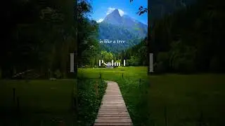READ WITH ME📖PSALM 1 #psalm1 #biblereading#blessed #thewayoftherighteous  #ilovethepsalms