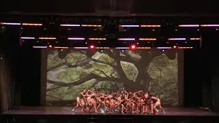 8 Count Dance Academy 