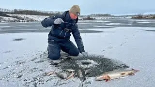 И ПОЧЕМУ Я РАНЬШЕ НА ЭТО НЕ ЛОВИЛ! ПРОСТАЯ, НО ОЧЕНЬ УЛОВИСТАЯ! Рыбалка со льда.