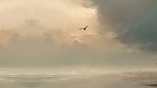 &ldquo;Connection&rdquo; &mdash; Calm Focus Music for Work, Reading & Deep Thinking