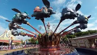 The flying ELEPHANT❣️