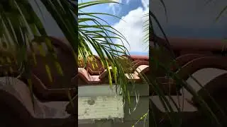 😮😮🔍 Tile roof INSPECTION #homeinspection #realestate #lakeland #florida #fail #roofing #water #roof