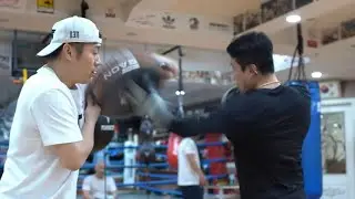 boxing punchshield