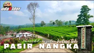 KEINDAHAN JALUR KEBUN TEH PASIR NANGKA - CIANJUR