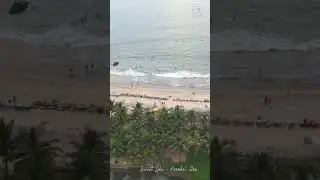 My Goa Life Adventure Retreat 2024 #travel #goaexperience #vlog #beachlife #abundance