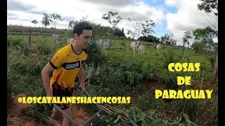 Cosas de Paraguay 1 (comida, costumbres, vida, etc...)