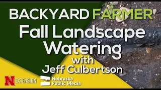 Fall & Winter Watering Tips | Keep Landscape Plants Healthy