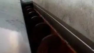 Parkieten Bos Sludge Conveyor