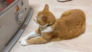 大好きな場所ができたね